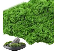 100g Mousse Artificielle Decoration, Fausse Mousse Vegetale Mousse Verte, Bricolage Mousse Artificielle pour Cache-Pots Plantes artificielles d'aquarium Fausse Herbe Végétaux Artificiels Fake Plant