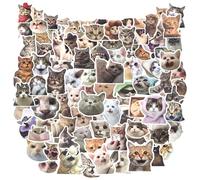 100Pcs Autocollant de Chat Amusant de Skateboard Mignon, Autocollant Mème de Chat de Cadeaux de Fête, Autocollants de Chaton Imperméable de Coque de Téléphone pour Bouteille d'Eau Enfants Adolescents