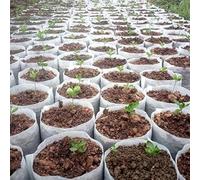 100pcs Différentes Tailles Biodégradables Non Tissé Semis Pots Sacs De Plantation Écologiques Sac De Pépinière Sacs De Croissance De Plantes pour Le Jardin, 32x34cm(100pcs)