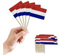 100PCS Drapeau Cure-dent Pays-bas pour Décorer Les Gâteaux,Décor Cupcake Toppers Cocktail pour Concerts Jardin Bar Fête Fourniture Fruits Sandwich Décoration Euro Football Match Décor événement royal