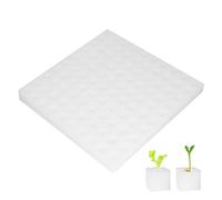 100pcs Plantation d'éponges hydroponiques, 25 x 24 cm / 9,8 x 9,4 pouces Éponges de semis Greenhouse Square Planing Planting Gardening Tool for Small Bud Growth
