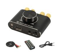 100W+100W BT 5.1 Wireless Audio Power Amplifier Stereo Audio Mini Amp Portable Sound Amplifier Speaker Amp for Car and Home (Black)