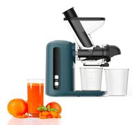 100W Presse-presse à jus, extracteur à Mastication lente pour porcelet de fruits. Faible bruit inférieur à 60 dB, Nutriment contenant 90-130 tr/min avec un filtre de 0,3 mm. Machine à jus automatique