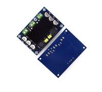 100W TPA3116D2 Carte Amplificateur Mono Classe DC 12V-26V Amplificateur de Puissance Audio NuméRique Carte Son AMP