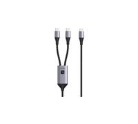100W USB-C PD QC PPS double 2x câble USB-C vers ICOC MU2C-2C100W