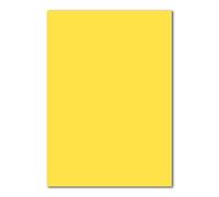 100x A4 Papier - couleur: jaune miel - 210 x 297 mm - 160 g/m² - Feuille de bricolage, papier d'argile, carton photo, papier de bricolage - FarbenFroh by GUSTAV NEUSER