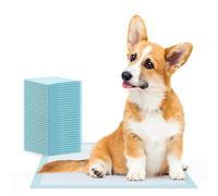 100x ARNOMED Tapis pour chiots, accessoires pour chiots en 60x60cm, accessoires pour chiens de petite taille, tapis pour chiots absorbant à usage unique, tapis pipi pour chiens à 5 couches, Puppy Pads