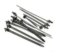 100x Attaches Nylon Mixtes pour Faisceau Électrique Auto