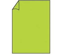 100x PAPERADO 16400122 Elepa rössler kuvert Papier couleur jet d'encre DIN A4 vert mai A4 100 g/qm