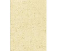 100xRNK Verlag 2864 Papier pour documents (papier peau d'éléphant) 110g/qm chamois DIN A4