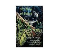 101 Birds Of Belize