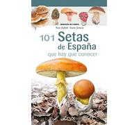 101 Setas de España: que hay que conocer