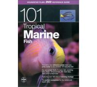 101 Tropical Marine Fish - 101 Tropical Marine Fish [Import anglais]