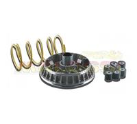 101211 - Variateur Malossi Mutlivar Suzuki Burgman 400