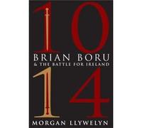 1014 Brian Boru the Battle for Ireland by Morgan Llywelyn Morgan Llywelyn, Terry Anu Design Foley (Auteur)