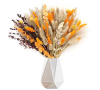 105 Pièces Pampa Séchées Naturelle Décoration Fleurs Séchées Automne Bouquet Séché Décor d'herbe de Pampa Plantes Décoratives en Herbe Pampa pour Boho Arrangements Mariage Anniversaire
