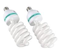 105W E27 Ampoules Lampe de Photographie Lumière du Jour pour Photo Studio Vidéo Daylight Bulb 220V 5500K (2 Pcs)