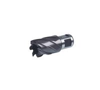 108218 F Mèche HSS TiAIN fibre creuse, futur queue Weldon (18 mm)