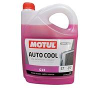 109141 - Liquide antigel INUGEL G13-37ºC 5L