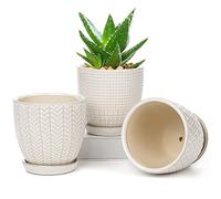 10cm Ensemble de 3 Pots de Plantes en Céramique Petits Pots de Fleurs Ronds avec Trou de Drainage et soucoupe pour Cactus Succulent, pour Intérieur Extérieur Jardin Maison Rebord de Fenêtre