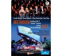 10e Anniversaire du Festival de Grafenegg – Beethoven Symphonie n°9 – Jost An Die Hoff – DVD – 2016