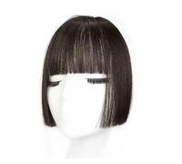 10inch Long Princess Bangs Clip in Hair Extension with Temples Synthetic Fringe HairPiece for Daily Wear Hair Extensions for Daily Wear(Brown black)