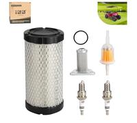 10L0L Golf Cart Kit de réglage compatible avec EZGO TXT (W/MCI)/RXV (W/Robbins)/ST350/Workhorse, avec filtre à air + huile + carburant 28463G01 26591G01