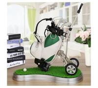 10L0L Lot de 6 mini sacs de golf porte-stylos avec base en gazon et stylos de golf - Cadeau fantaisie (vert et blanc)