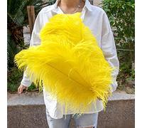10pc Grand Plume d'autruche Teintée Naturelle pour Mariage Maison Vase Décoration Blanc Plumes Table Pièce Maîtresse Artisanat Décoration Plume-Jaune,50CM