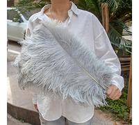 10pc Grand Plume d'autruche Teintée Naturelle pour Mariage Maison Vase Décoration Blanc Plumes Table Pièce Maîtresse Artisanat Décoration Plume-Gris,50CM
