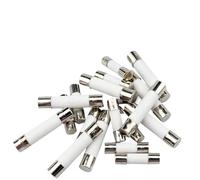 10pc/lot One Sell 5 * 20mm 6 * 30mm Fast Blow Tube Fuses Mm 250V 0.1 0.2 0.3 0.5 1 2 3 4 5 6 8 10 15 20 25 30A AMP Fuse Ceramic Fuse(6x30mm,5A)
