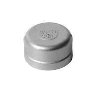 10PCS 1-1/2" BSPP Female Thread 304 Stainless Steel Pipe Fitting Round Head Socket End Cap(316SS BSPP Thread) Brass Hose