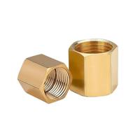 10Pcs 1/8" 1/4" 3/8" 1/2" 3/4" Female Thread Brass Pipe Fittings Hex Nut Rod Connector Coupling For Water Fuel Gas(G1-G1) Plumbing Fittings