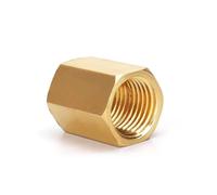 10Pcs Female Thread Brass Pipe Fittings Hex Nut Rod Connector Coupling For Water Fuel Gas 1/8" 1/4" 3/8" 1/2" 3/4"(04-04) Plumbing Fittings