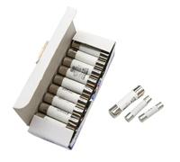 10Pcs Fusible 5x20mm 6x30mm 10x38mm Fast Blow Tube Fuses 250/500V 0.5 1 2 3 4 5 6 8 10 15 16 20 32A AMP Fuse(6 A,10PCS_5 X 20MM 250V)