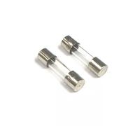 10pcs/lot 5x20mm 6x30mm Fast Blow Glass Tube Fuses 1A 2A 3A 5A 10A 15A 20A Square Round Fuse Axial Lead Green Blue Fuse 125/250V(SILVER_10 PCS)