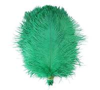 10pcs Naturel Plumes D'Autruche - 25-30cm Grandes Plumes - Doux Et Moelleux Ostrich Feathers Plume - Plumes Colorées - DIY Plumes de Décor pour Artisanat Costumes, Chapeaux, Décoration D'intérieur