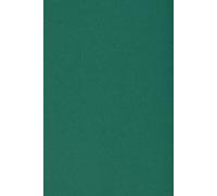 10x Carton Vert Foncé 250g Papier Décoratif Sra3 320x450mm Burano English Green Idéal Pour Cartes De Voeux Scrapbooking Bricolage Invitations Art Et Artisanat Anniversaire Diy Loisirs Créatifs
