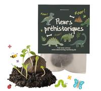 10x "Dinosaures" bombes à graines anniversaire d’enfant / "Fleurs préhistoriques" - Dinosaures fleurs cadeau Boules avec graines comme cadeau d’anniversaire Bombes de graines pour enfant