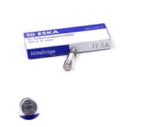 10x Fusible moyen temporisé (M) en verre 12.5A / 250VAC 5x20mm