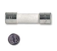10x Fusible Temporisé (T) en céramique 1A / 250VAC 5x20mm