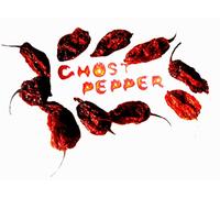 10x ghost pepper piment entier séché sec - piments les plus fort du monde- entiers séchés secs
