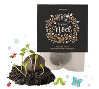 10x « Joyeux Noël » bombes à graines - petit cadeau & souvenir original - bombes à fleurs comme idée de cadeau durable pour collègues, amis, invités & enfants - déco de table & porte-bonheur