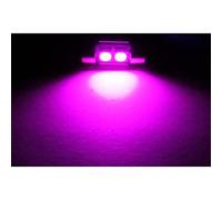 10x LED Soffitte 31mm C5W Rose 12V Canbus Eclairage intérieur et décoratif