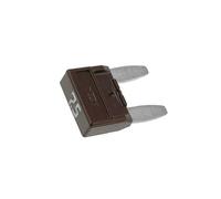 10X MINIVAL 7,5A Fusible: de fusible 7,5A 32V automobile 11,9mm MINIVAL MTA