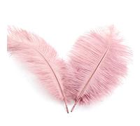10x Plumes d'autruche Naturelles 20-25cm,pour Bricolage,Accessoires pour Attrape-rves,dcoration de Maison,Costumes,dcoration de Table,Mariages,ftes,Chapeaux,vtements,dcoration de vtements,Rose Vieux