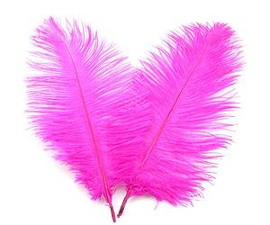 10x Plumes d'autruche Naturelles de 20-25cm,pour Bricolage,Accessoires pour Attrape-rves,dcoration de Maison,Costumes,dcoration de Table,Mariages,ftes,Chapeaux,vtements,dcoration de vtements,Rose