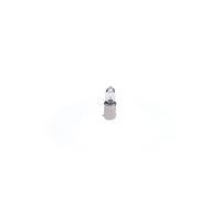Bosch Ampoule secondaire H10W Pure Light 12V 10W 1 pièce