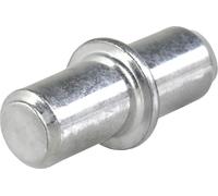 10x Taquets d'étagère Taquets de support d'étagère Taquets d'étagère galvanisés 5mm