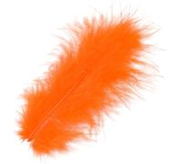 10XKNORR prandell 216619100 Mar.feder10cm ou